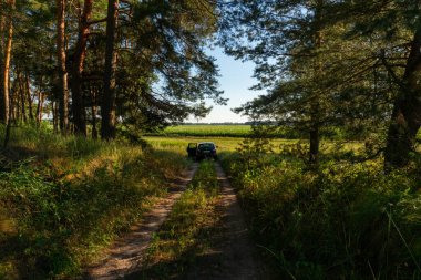 Araba, çam ağaçları ve yemyeşil bitki örtüsünün arasında bir orman yolunda kapıları açık bir şekilde park halinde.