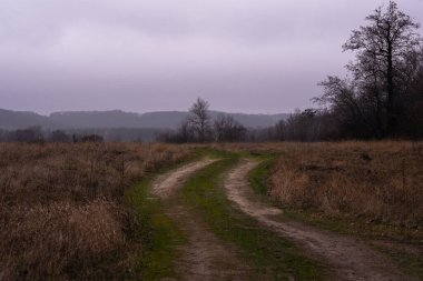 Parlak yeşil çimenler sonbaharın sonlarında toprak yolda büyüdü., 