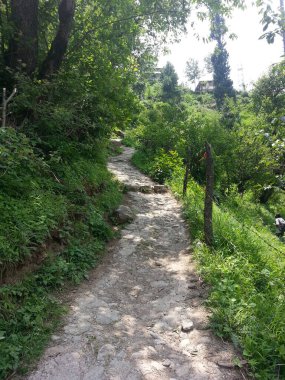 A path through a forest with a fence on the side. The path is made of rocks and is surrounded by trees. Tosh, Himachal Pradesh, India clipart