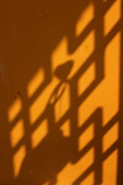 Sıcak güneş ışığı geometrik desenler ve canlı turuncu bir duvara kalp şeklinde bir gölge bırakır. Sevgi, sıcaklık ve basitlik kavramları için mükemmel bir minimalist ve duygusal kompozisyon yaratır..