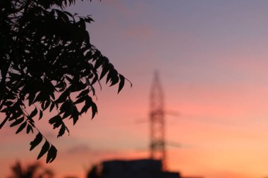 Ağaç yapraklarının silueti ve arka planda canlı bir günbatımı gökyüzü, bir iletim kulesinin belli belirsiz ana hatlarını içeriyor. Doğa, enerji veya şehir temalı tasarımlar için mükemmel.