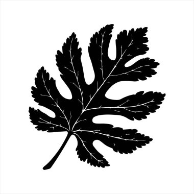 Dekoratif sonbahar yaprağı siluetleri vektör sanat tasarım koleksiyonu.