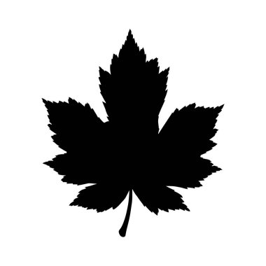 Dekoratif sonbahar yaprağı siluetleri vektör sanat tasarım koleksiyonu.