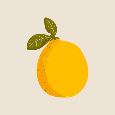   Düz yapraklı limon.