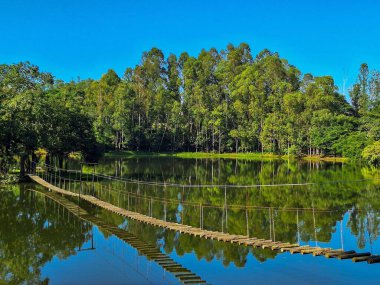 Paradisikal bir ortam. Yeşillik ve doğanın coşkulu güzelliği ile çevrili bir gölün üzerine inşa edilmiş ahşap bir köprü..