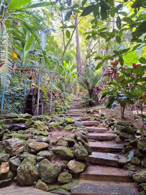Tropikal bir ormanın yemyeşil bitki örtüsüyle çevrili taştan bir patika. Arka planda bir su çarkı var. Güneş ışığı ağaç tepe örtülerinden süzülerek sakin ve doğal bir atmosfer yaratır..