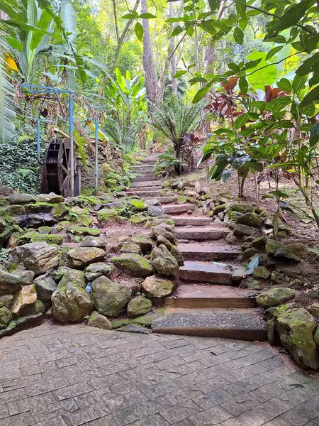 Tropikal bir ormanın yemyeşil bitki örtüsüyle çevrili taştan bir patika. Arka planda bir su çarkı var. Güneş ışığı ağaç tepe örtülerinden süzülerek sakin ve doğal bir atmosfer yaratır..