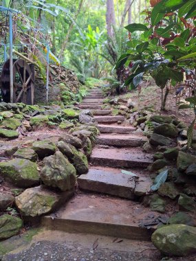 Arka planda su çarkı olan tropik bir ormanın yemyeşil bitkileriyle çevrili taştan bir patika. Ağaçların arasından süzülen güneş ışığı sakin ve doğal bir atmosfer yaratır..