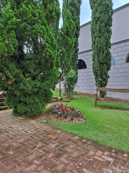 Yoğun bitki örtüsüyle çevrili canlı yeşil bitkilerden oluşan verimli bir tropikal orman alanı. Güneş ışığı ağaçların arasından süzülüp paradisikal bir manzara yaratır..