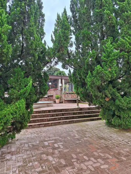 Yoğun bitki örtüsüyle çevrili canlı yeşil bitkilerden oluşan verimli bir tropikal orman alanı. Güneş ışığı ağaçların arasından süzülüp cennete benzer bir manzara yaratır..