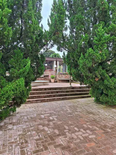 Yoğun bitki örtüsüyle çevrili canlı yeşil bitkilerden oluşan canlı bir tropikal orman alanı. Güneş ışığı ağaçların arasından süzülüp cennete benzer bir manzara yaratır..