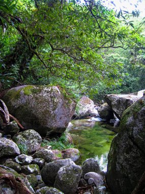 Crystal-clear rock pools are the hidden treasures of tropical forests clipart