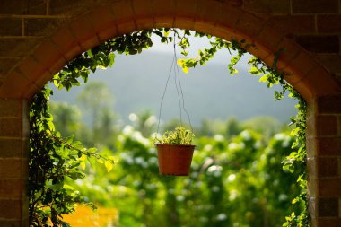 Kadim bir kemerde saksılar asılı..