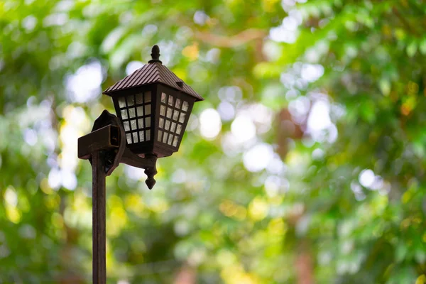 Ancient lanterns in the green garden with bright morning light.