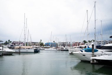 Yat marinası, turizm hizmetleri için çeşitli deniz gezisi gemileri..