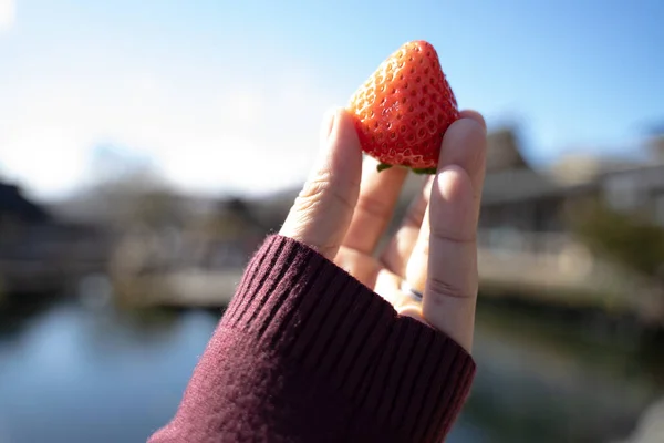 Strawberry Fruit Hand Colorful Sky Background — Stock Photo, Image