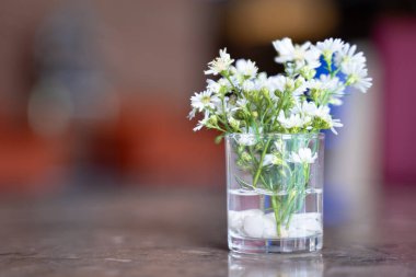 Masaya yerleştirilmiş beyaz papatya çiçekleri, bokeh ışığı arka plan.