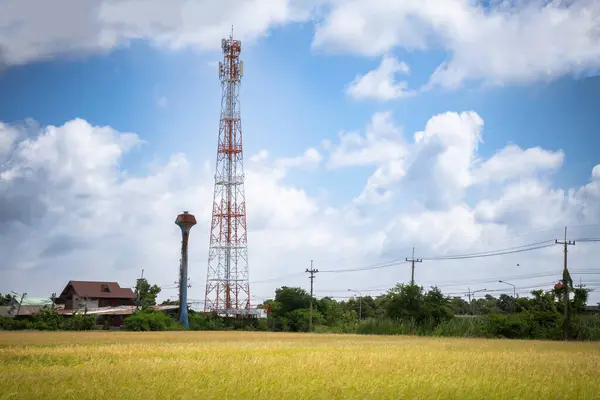 5G telecommunication towers, wireless antenna connection system of rural communication system with rice fields and clear sky.