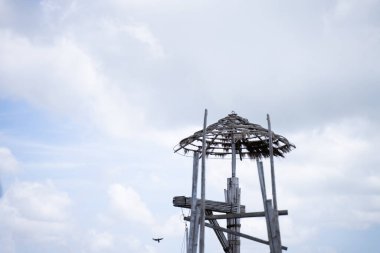 Eski ahşap kulübenin ön cephesinde sazdan çatı terk edilmiş bir kulübe ve gökyüzü arka planı yok..