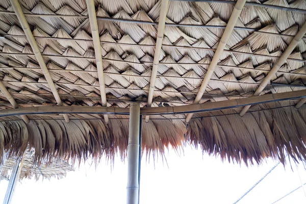 Střecha Palmových Listů Přírodní Pozadí Tradiční Střešní Textury Tam Pták — Stock fotografie