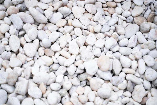 White pebble surface, small stones on the ground, top view of natural pebbles on summer beach.