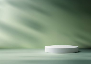 Minimalist 3D Beyaz Podyum Yumuşak Gölgelerle yıkandı, Modern Doğa Temalı Ürün Sergisi ve Showroom Modifleri İçin Mükemmel