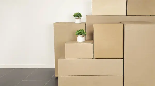 Beyaz bir duvara karşı istiflenmiş karton kutular ve küçük saksılar.