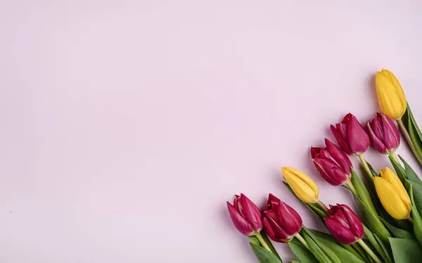 Pembe arka planda kırmızı ve sarı lalelerden oluşan hassas bir düzenleme, mesaj için boşluk bırakıyor..