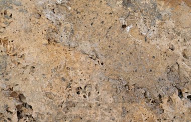 Gözenekli kireç taşı dokusu doğal boşluklar ve toprak tonlarıyla jeolojik altyapılar ve malzeme çalışmaları için ideal.