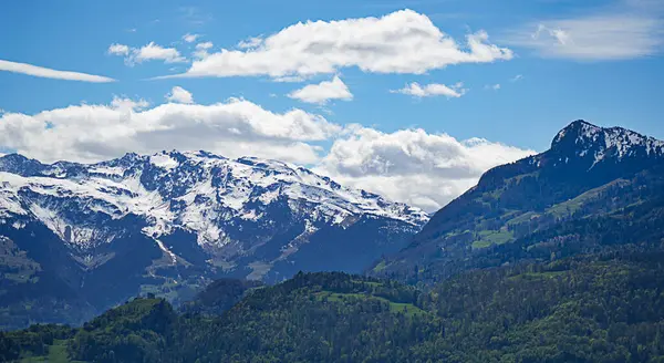 İsviçre Alpleri 'nin karla kaplı tepeleri ve açık mavi gökyüzünün altındaki yeşil ormanlık tepeleri manzarası. Dağlardaki doğal bahar manzarası