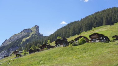 Geleneksel ahşap evler Gimmelwald, İsviçre 'de yeşil bir alp yamacı boyunca dağılmış, arka planda orman ve kayalık dağ zirvesi var. Fotoğraf 31 Mayıs 2025 'te çekildi..