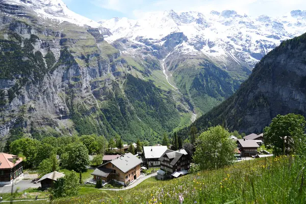 Gimmelwald köyünün panoramik manzarası İsviçre Alplerinde bir dağ yamacına kurulmuş, dramatik uçurumlar, yeşil vadiler ve arka planda karla kaplı zirveler. Fotoğraf 31 Mayıs 2025 'te çekildi..