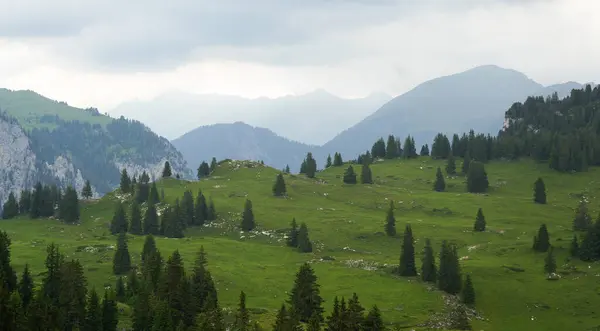 Geniş yeşil tepeler bulutlu bir gökyüzünün altındaki kozalaklı ağaçlarla kaplı. Açık hava aşıkları ve doğa fotoğrafçılığı için ideal barışçıl bir dağ manzarası yaratıyor.