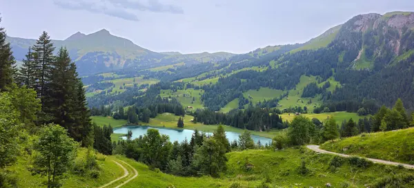 İsviçre Alpleri ile çevrili Lauenen Gölü manzarası. Yeşil tepelerin ve yüksek dağların arasına kurulmuş sakin bir göl yumuşak bulutların altında, barışçıl doğal güzelliği yansıtıyor..