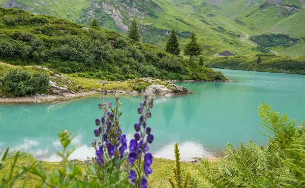 İsviçre 'nin Engelberg kentindeki Titlis Dağı eteğinde sakin bir göl, yemyeşil ve kır çiçekleriyle çevrili, sakin dağları yansıtıyor ve huzurlu bir alp atmosferi yaratıyor..