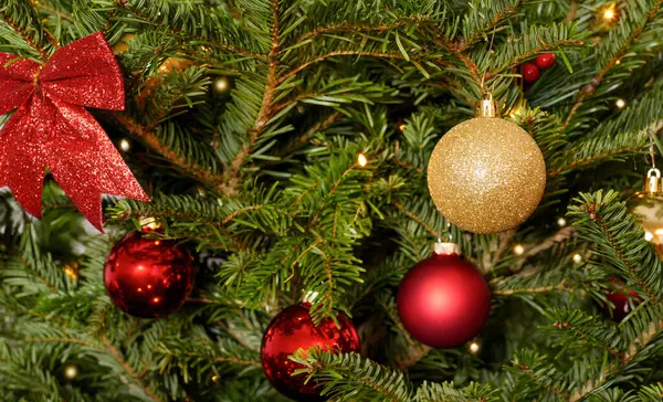 Parlak kırmızı ve altın süslemelerle süslenmiş Noel ağacı, yemyeşil dallar ve parlak ışıklarla süslenmiş, neşeli bir tatil ortamı yaratıyor