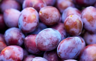 Zengin mor renklere sahip organik erikler, doğal dokularını ve tazeliklerini vurgulayarak, başarılı bir hasat ve sağlıklı tarım yöntemlerini temsil etmek için güzelce düzenlenmiştir.