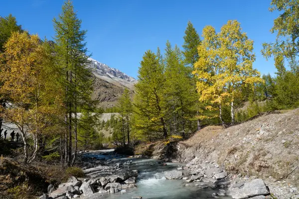 Tranquil river meanders through a colorful forest with autumn leaves and towering mountains in the background, creating a serene natural environment
