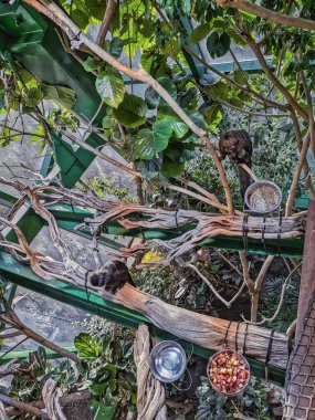 Binanın iç avlusundan gökyüzünün görüntüsü