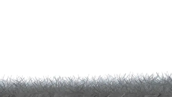 Bu arkaplan ihtiyaçlarınız için uygundur