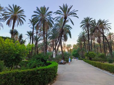 Gün batımında Sicilya 'nın eski Palermo kasabasına palmiyelerle park et.