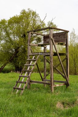 Baharda bulutlu bir gökyüzünün altında, arka planda ağaçlarla yeşil bir çayırda eski ahşap av duruşu..