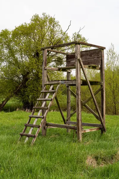 Baharda bulutlu bir gökyüzünün altında, arka planda ağaçlarla yeşil bir çayırda eski ahşap av duruşu..