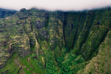 Turkuaz okyanusa dökülen engebeli kıyı uçurumlarının çarpıcı hava manzarası. Kırmızımsı kahverengi kayalıkların etkileşimi ve canlı yeşil bitki örtüsü dinamik ve zıt bir doğal palet yaratır..               