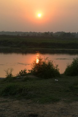 Ormanda güzel bir gün batımı