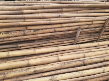 Bambu doku arka planı için