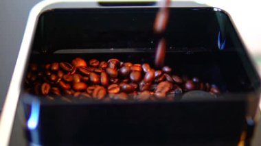 Ein Ausschnitt einer Kaffeemaschine zeigt einen Behlter, der randvoll mit frischen, dunkelbraun glnzenden Kaffeebohnen gefllt ist. Die Bohnen liegen eng aneinander und warten darauf, gemahlen zu werden.