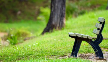 Parktaki boş bank bir ağacın arka planına karşı