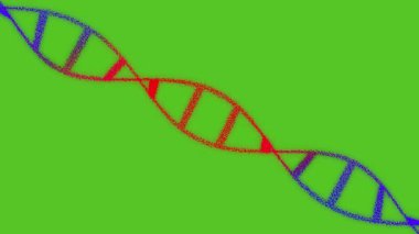 Dijital koda karşı DNA sarmalı döndürülüyor