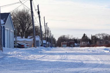 Şehirde karlı bir kış bahçesi var. Yüksek kalite fotoğraf